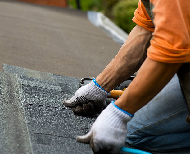 Best Flat Roof Repair Services  in , WA